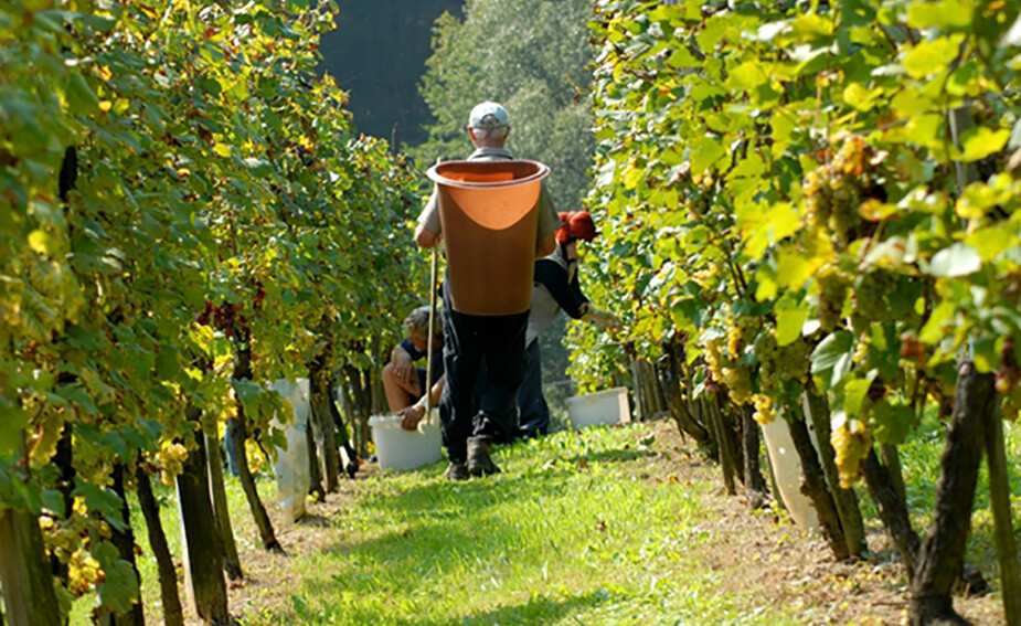 Check out your entitlements as a casual worker.