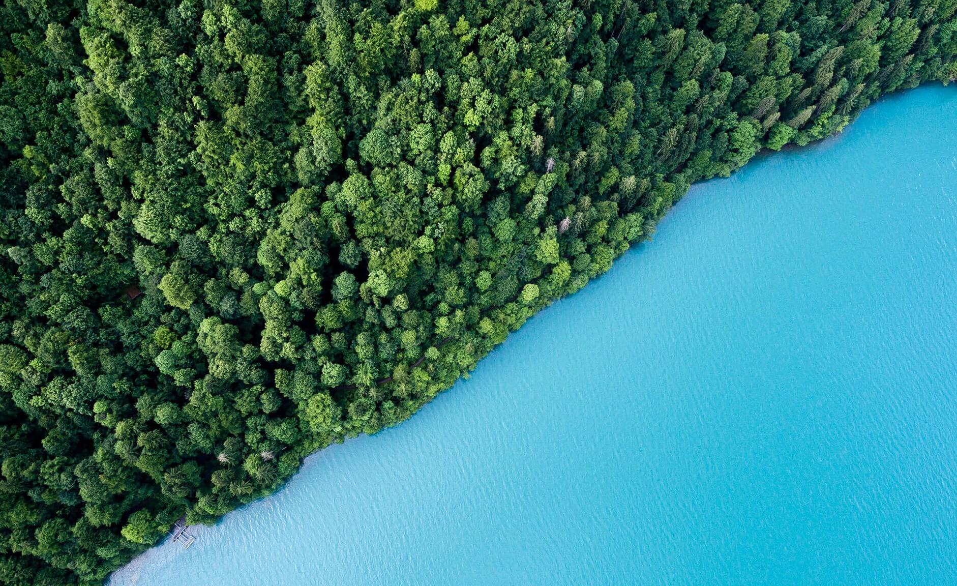 Aerial shot of lush forest beside bright blue river